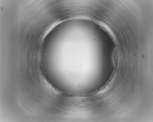 X0000088660860200706152031