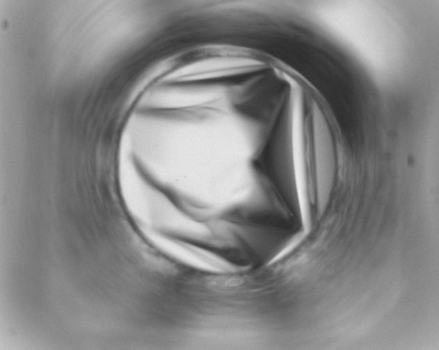 X0000088660861200706152031