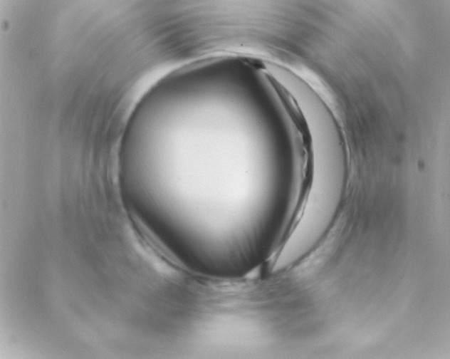 X0000088660862200706152031