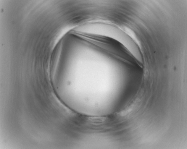 X0000088660863200706152031