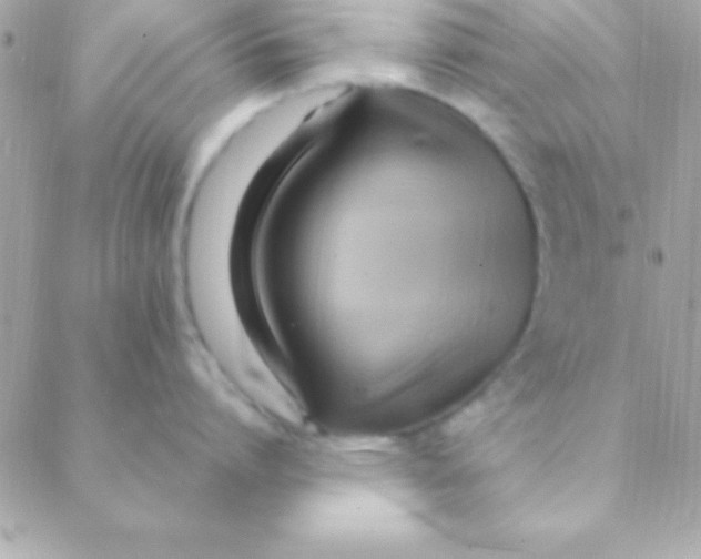 X0000088660864200706152031