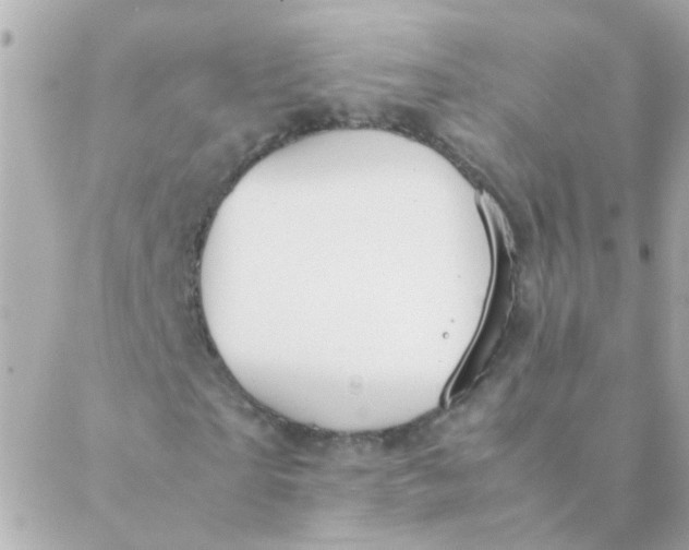 X0000088660865200706152030