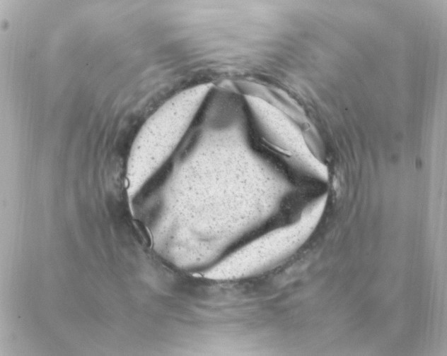 X0000088660867200706152030