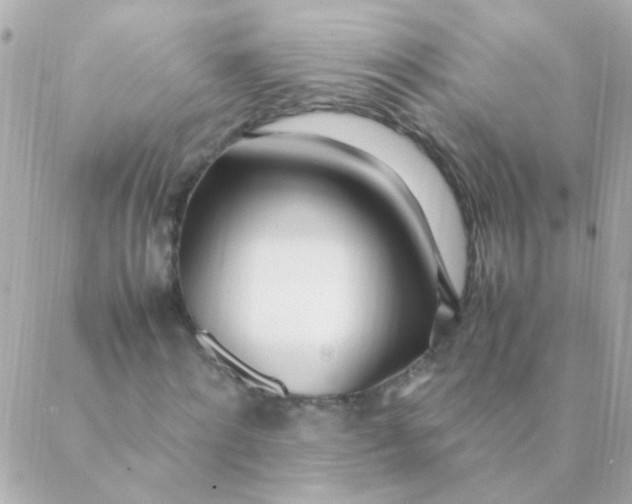 X0000088660868200706152030