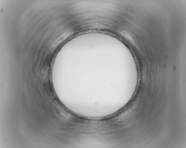 X0000088660873200706152030