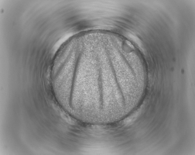 X0000088660875200706152030