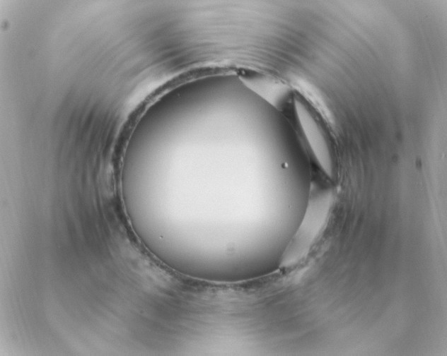 X0000088660876200706152030