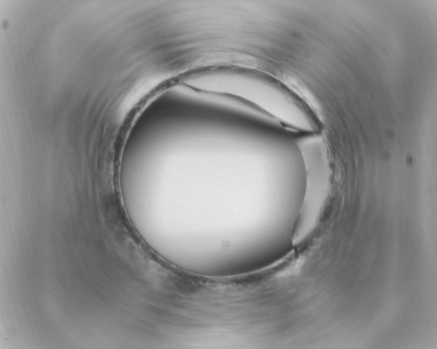 X0000088660877200706152030