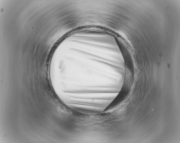 X0000088660879200706152030