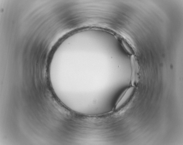 X0000088660880200706152030