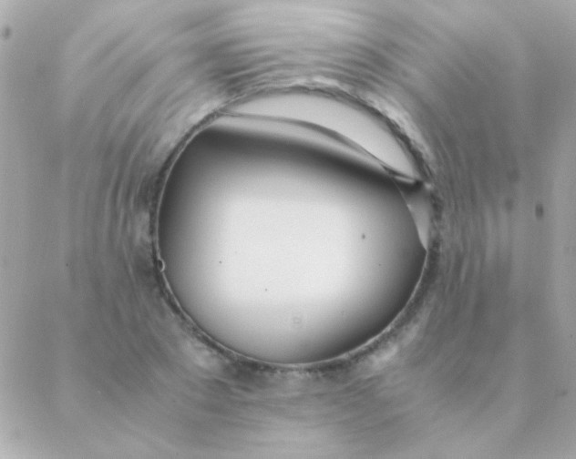 X0000088660881200706152030