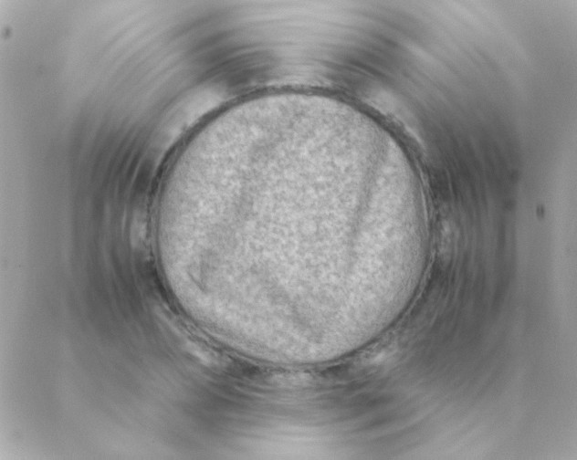 X0000088660882200706152030