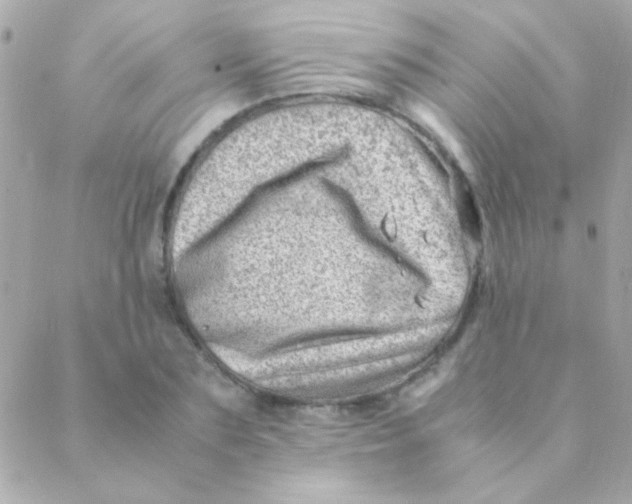 X0000088660883200706152030