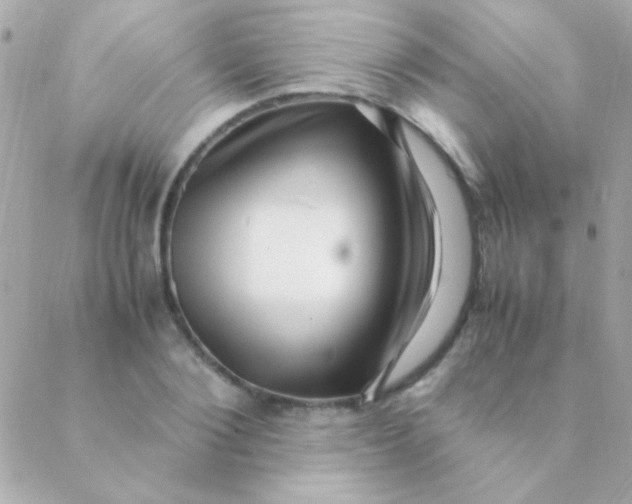 X0000088660884200706152030