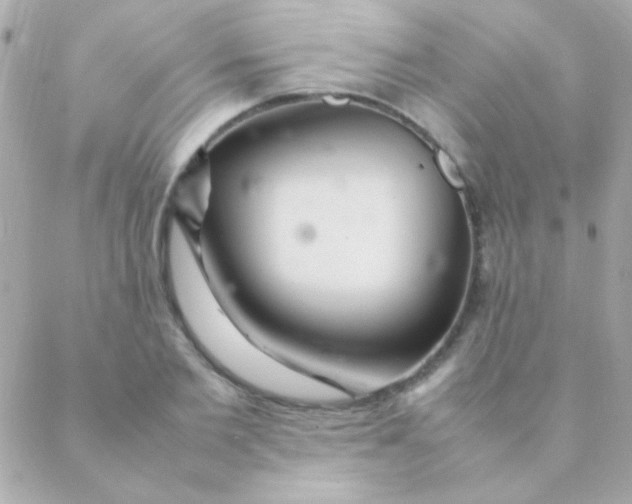 X0000088660885200706152030