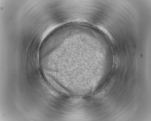 X0000088660886200706152030