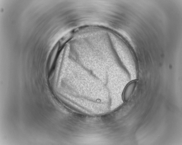 X0000088660887200706152030