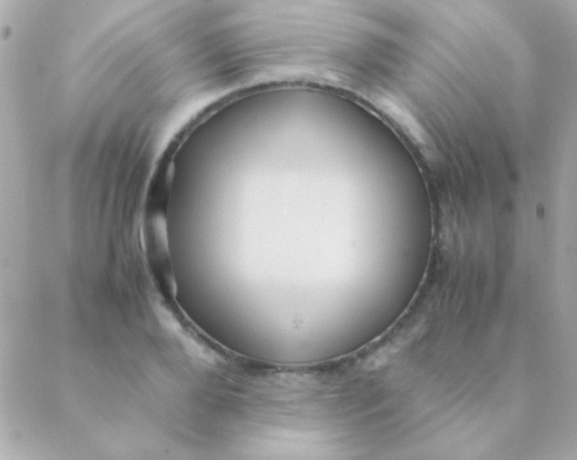 X0000088660888200706152030