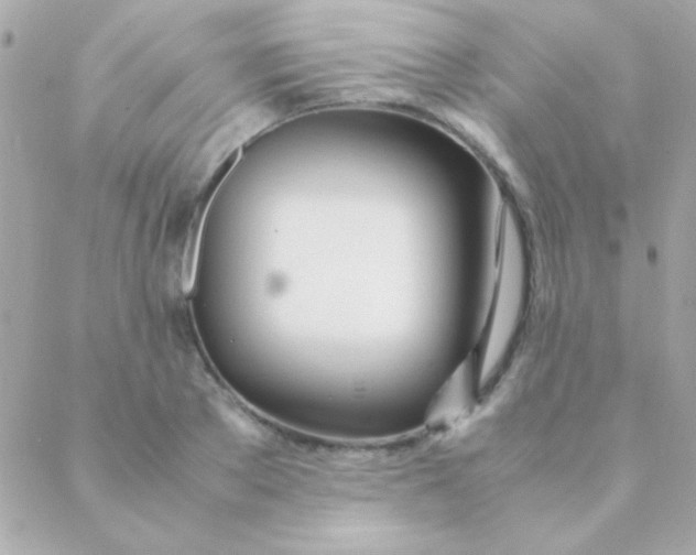 X0000088660889200706152030