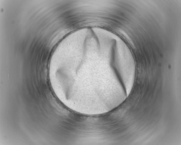 X0000088660890200706152030