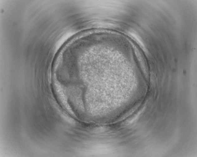 X0000088660891200706152030