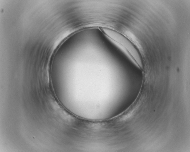 X0000088660892200706152030