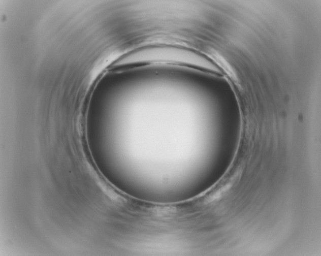 X0000088660893200706152029