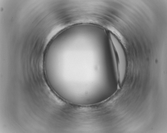 X0000088660894200706152029