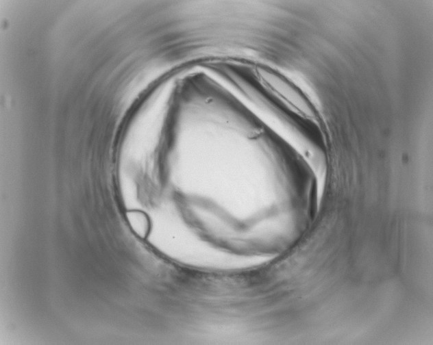 X0000088660895200706152029