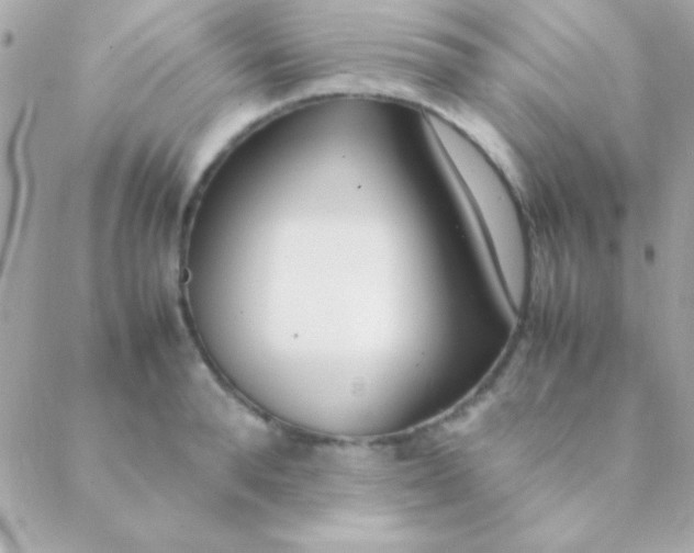 X0000088660896200706152029