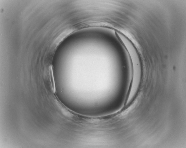 X0000088660897200706152029