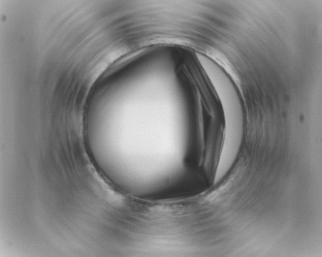 X0000088660898200706152029