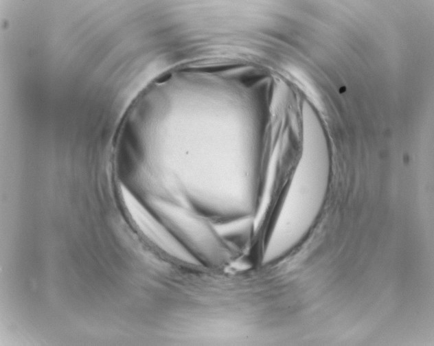 X0000088660899200706152029