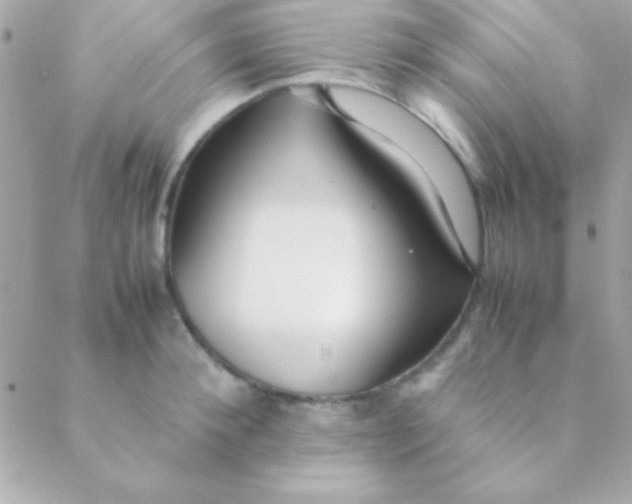 X0000088660900200706152029