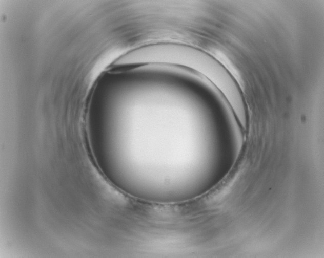 X0000088660901200706152029