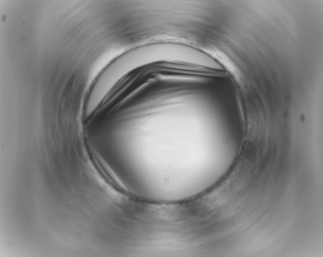 X0000088660902200706152029