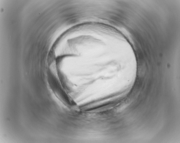 X0000088660903200706152029