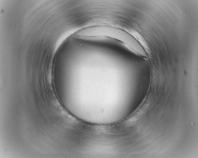 X0000088660904200706152029