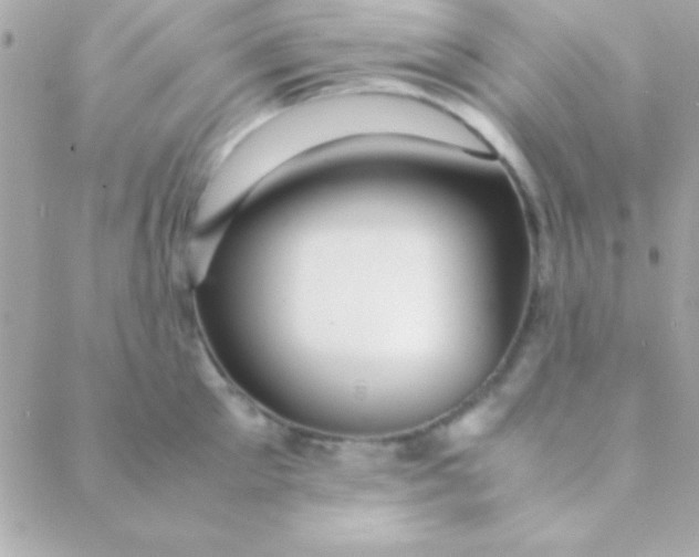 X0000088660905200706152029