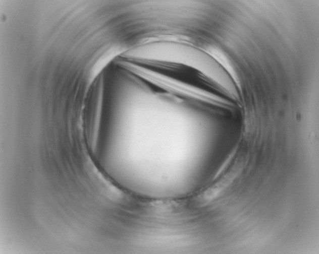 X0000088660906200706152029