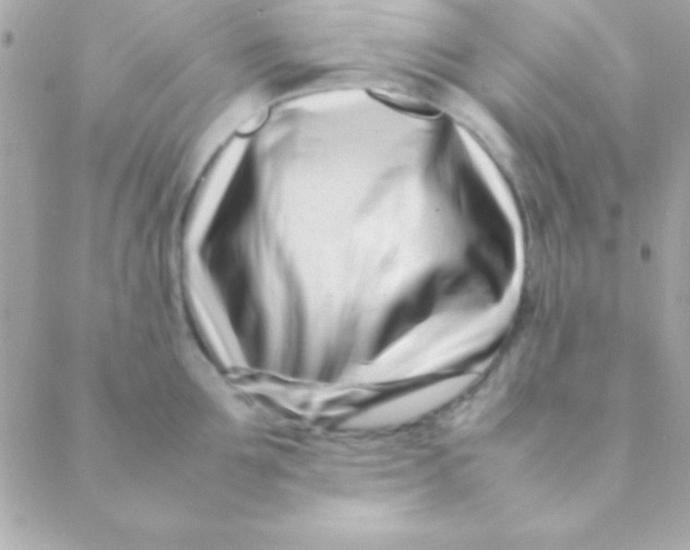 X0000088660907200706152029