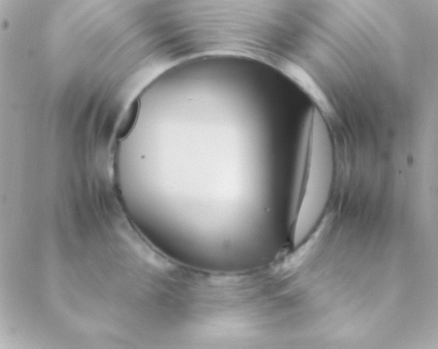 X0000088660908200706152029