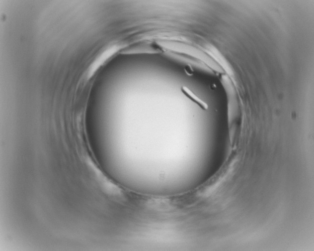 X0000088660909200706152029