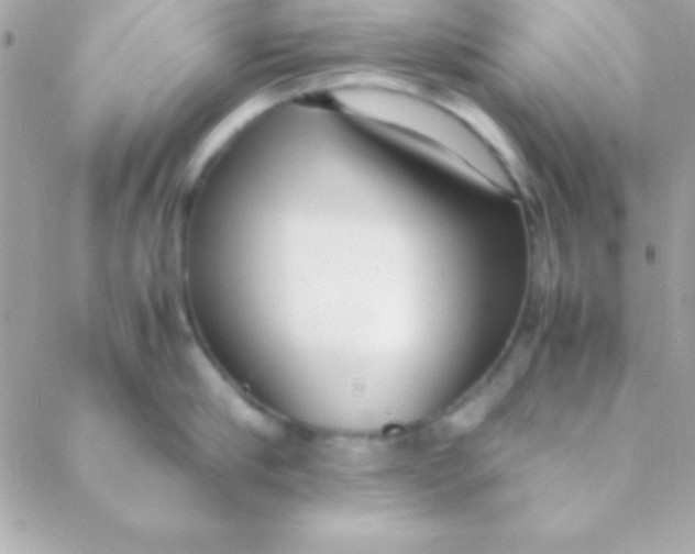 X0000088660910200706152029