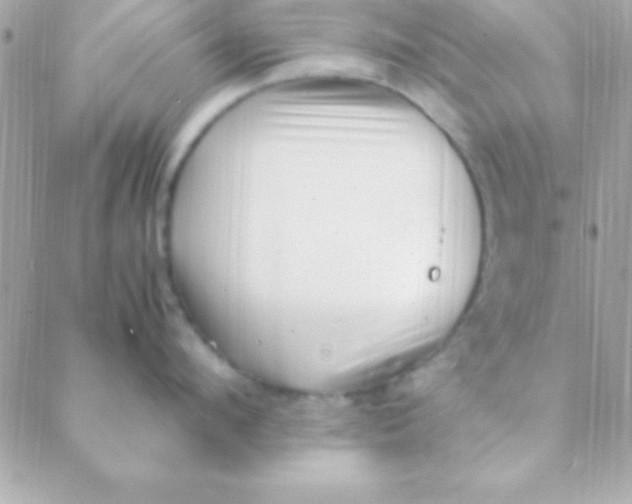 X0000088660912200706152029