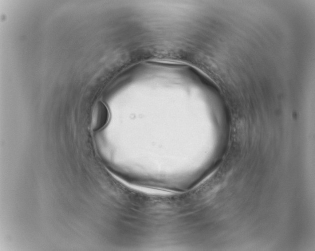 X0000088660913200706152028