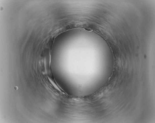 X0000088660914200706152028