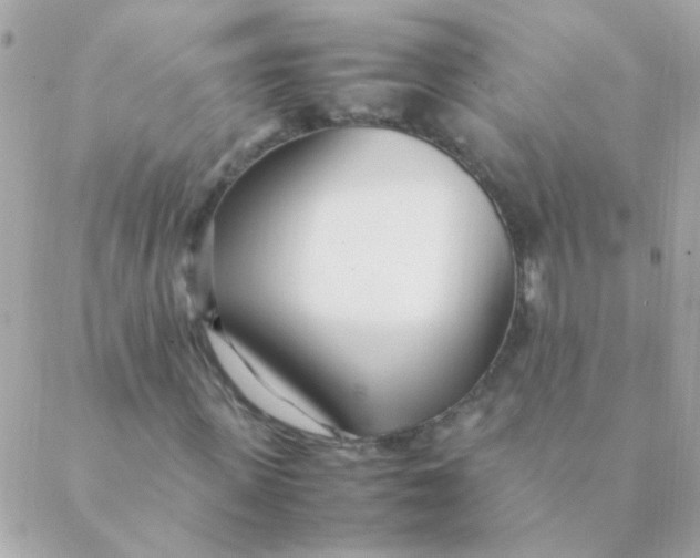 X0000088660915200706152028