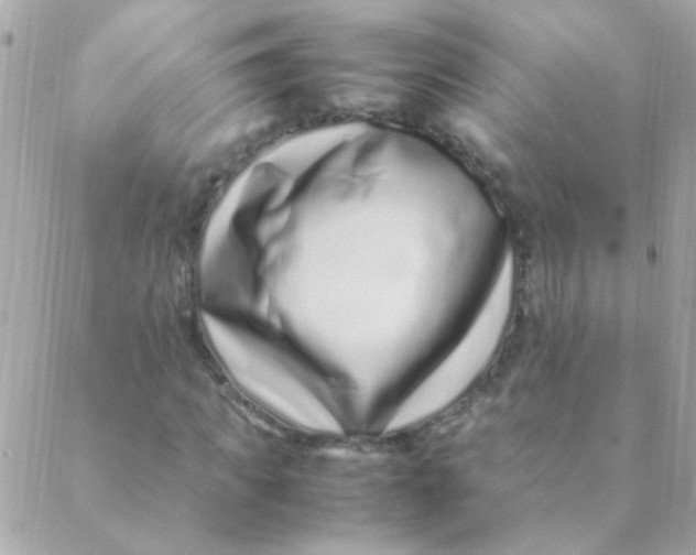 X0000088660917200706152028