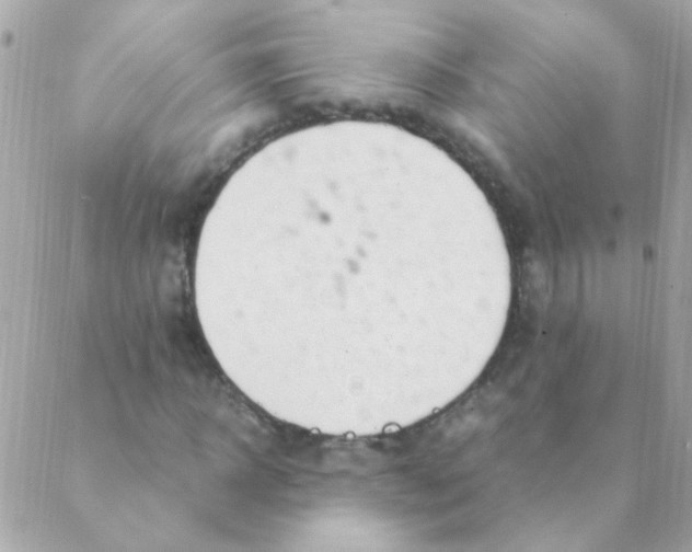 X0000088660918200706152028